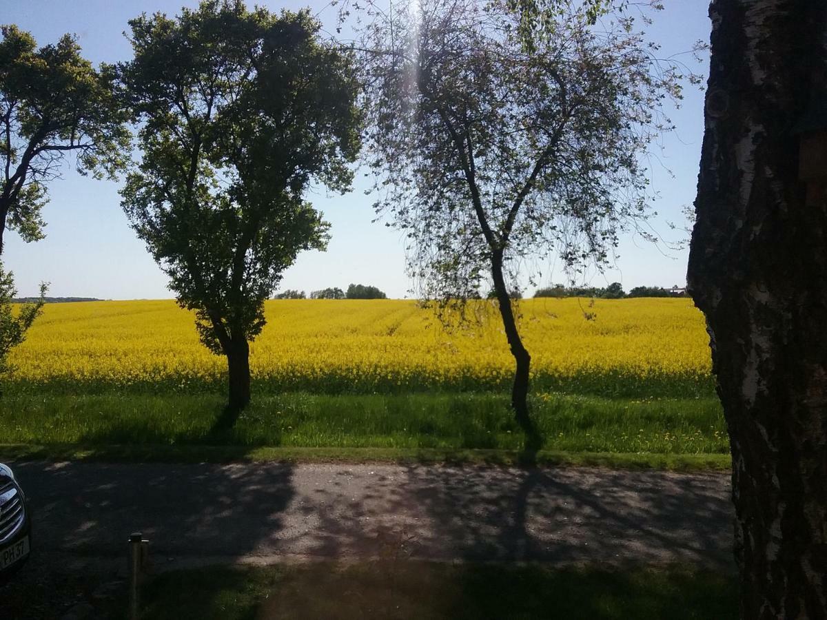 Ferienwohnung Thien Gross Niendorf  Екстериор снимка